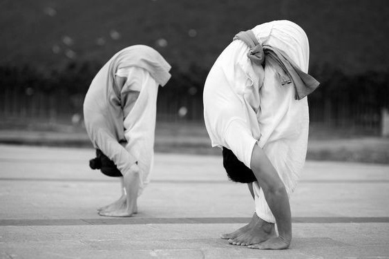 Padahastasana (posture de la pince)